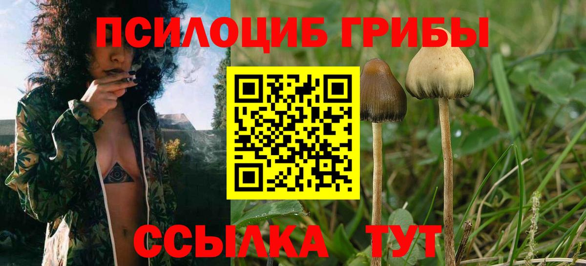 Псилоцибиновые грибы Magic Shrooms Невинномысск