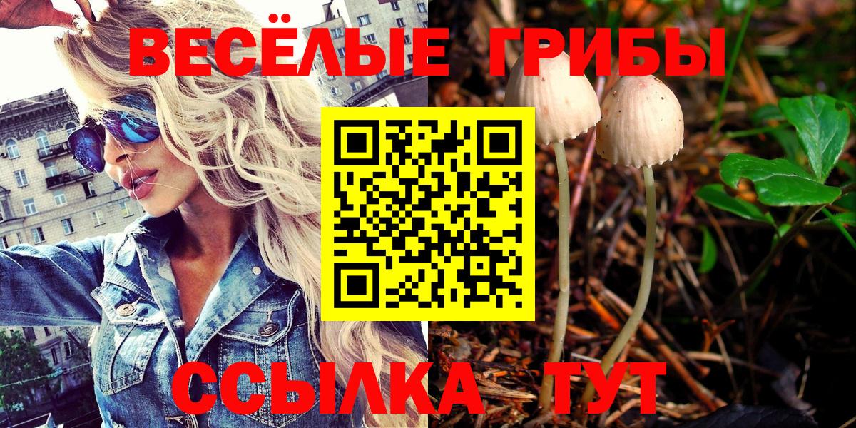 Галлюциногенные грибы MAGIC MUSHROOMS  Вход с VPN  Галлюциногенные грибы MAGIC MUSHROOMS  Невинномысск 